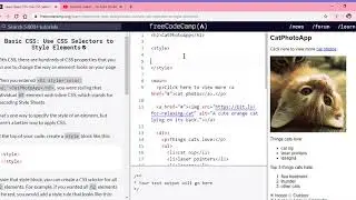 Learn Basic CSS  Use CSS Selectors to Style Elements   freeCodeCamp org   Google Chrome 2019 12 11 1
