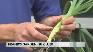 How to blanch leeks