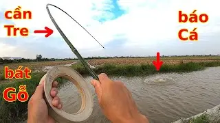 Thử làm Cần Câu Lure kiểu truyền thống và cái kết
