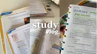 study vlog 🧷studying geography and portuguese, playing animal crossing, morning walk...