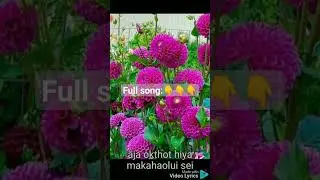 aja okthot #song #heart broken song #tangkul.