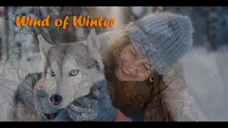 Wind of Winter - Live Impro by Flow of the Sky | Mashup video
