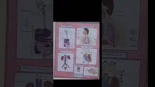 Important Diagrams of std-10th#biology#biologyoneshot#diagram#oneshotstudy#viralshort#shortfeed#yt