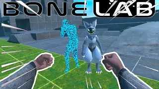Custom NPCs are now in Bonelab!