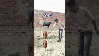 cow,, buffalo,, goat,, lion VFX magic //youtube shorts#trending#short#funnyshortsfeed#comedy