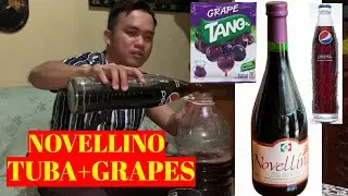 PAANO GUMAWA NG NOVELLINO WINE | TUBA & TANG GRAPES | FILIPINO COCONUT WINE