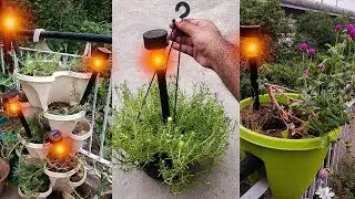 बिना बिजली और बिना सेल के चलने वाली लाइट्स गार्डन में लगाइये