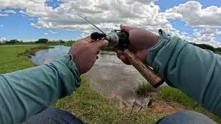 PEIXE PULANDO PRA TODO LADO!!!