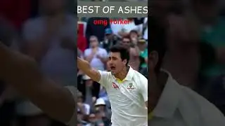 #cricket #cricketlover #ipl #viratkohli #sports #ashescricket #mitchellstarc #ashes2021 # shots