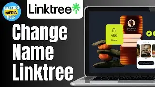 How Can You Change Your Name In Linktree | Easy Guide 2024