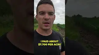 How Much I Paid For 50 Acres of Farmland