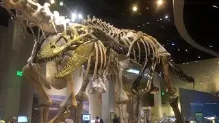 Perot Museum with Maya Exhibit