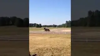 2 Juni 2018 N&aacute;ttd&iacute;s fr&aring;n Nattviolen visas p&aring; Backome. T&ouml;lt.