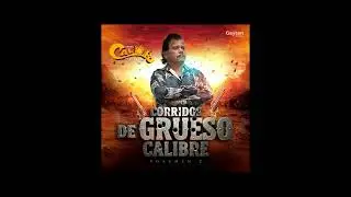 La Vida es una Copa de Licor - Grupo Calor de Julian Gaytan