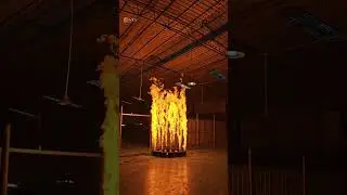 FM-1M HEAD MOVING FIRE MACHINE#ewayfx #fire machine#stage effect#events#party#wedding#DMX#dj#stagefx