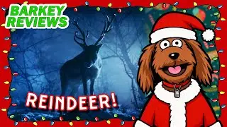 Runaway Reindeer in Christmas Movies and TV Specials