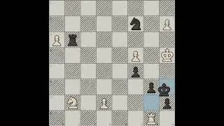 Happy International Chess Day.🙂♟️#edit #chess #viral #brilliantmove