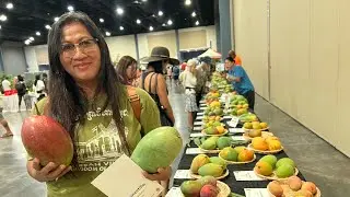 Mango festival in convention center, West Palm Beach, Florida. ￼