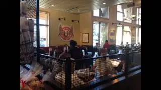 Boudin Sourdough Bakery and Cafe in Santa Rosa