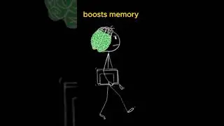 Can chewing GUM boost your MEMORY?
