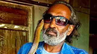 । When unexpectedly family members found snake under the kitchen table ।