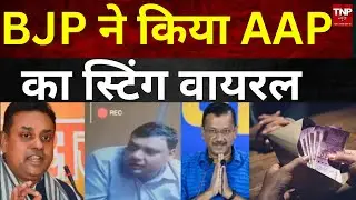 BJP Sting Operation On AAP: BJP का AAP पर STING 'STRIKE', AAP में हलचल तेज़ ||TNP NEWS||