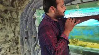 Fish House##मछलीघर ##Nawab Wazid Ali Chidiaghar ##Lucknow Zoo##with Vivek