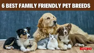 6 Best Family Friendly Pet Breeds  | Perfect Pets for Kids & Home