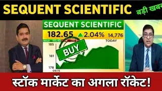 sequent scientific share latest news 🔴sequent scientific share today update and fundamental analysis