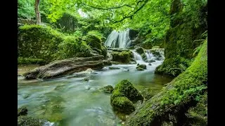 Serenity Soundscape: Deep Meditation Vibes