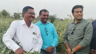 वर्धा जिल्ह्यातील शेतकरी बांधवांची SRT तुर शेती हिवरा दरणे येथे भेट..!