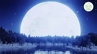 Sleep Music for Peaceful Nights Key of Moon Relaxation Music Solo Piano Healing