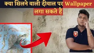 can we apply wallpaper on damp walls - wallpaper   #damp