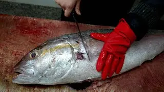 BIG FISH CUTTING ( Amberjack )