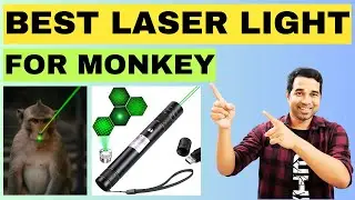 Best Laser Light on Amazon | Best Laser Light For Monkey