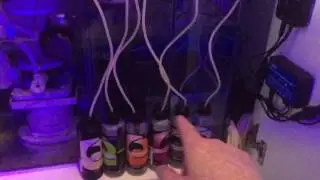 The key to setting up your dosing system
