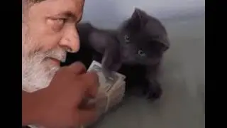 Da binhero