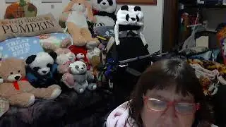 Discussion D Who Pays for Hospice Care in a Nursing Home?