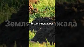 Земля задрожала | страшные истории на ночь, страшилки на ночь | short horror stories