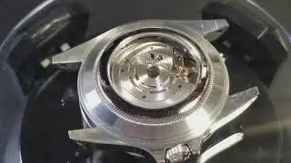 Rolex Explorer 16570 Display Case Back