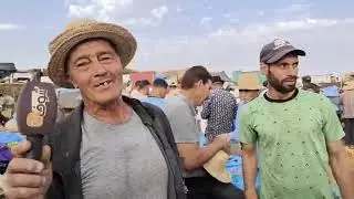 من تملالت ضواحي السراغنة:خيرات بدلانا..الحبوب موجودة بعد موسم الحصاد والثمن ديالها ابتداء من 3 دراهم
