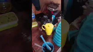 Come Let Prepare Delicious Chinese Recipe Food Made By Me 