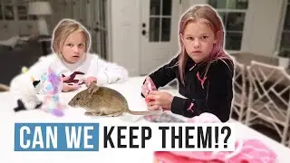 Look what we caught | Can we keep them? | The LeRoys