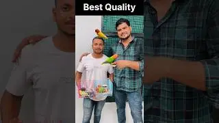 Quality Birds Lene aaye Pune to Aligarh #aligarhbudgiesandfinches #birds #lovebirds #budgies #nature