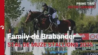 Stal de Muze Stallions 2025 - Family de Brabander