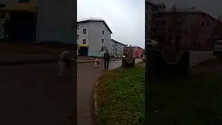47news: Атаку сантехников остановили автоматчики