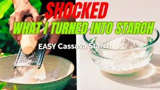 How to Make Cassava Starch From Scratch || Step-by-Step at Home