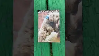 How to make a Live Photo? #ar #livephoto #photographer #photography #artechnology #giftidea