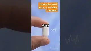 Deadly Sea Snail Toxin as Diabetes Treatment | Effects of consomatin on blood sugar&nbsp;