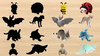 Learn Animal Names | Bee Bat Bilby Rhea Ladybug Cheetah Dolphin Manta Ray | Puzzle Game